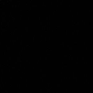 Meet your Posher, Ebony